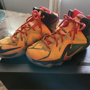 4.5Y LeBron James high tops